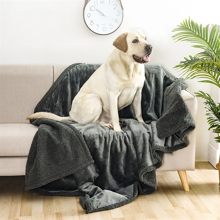 پالتو کمبل پھینکنا